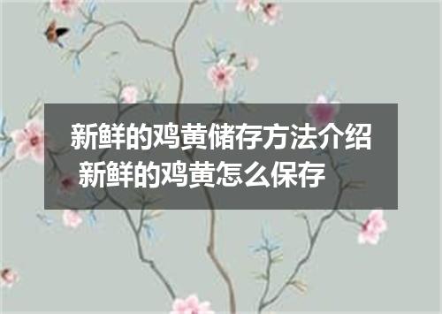 新鲜的鸡黄储存方法介绍 新鲜的鸡黄怎么保存