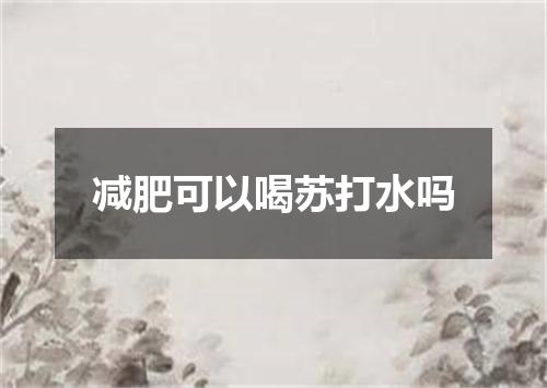 减肥可以喝苏打水吗