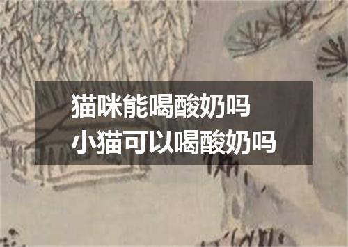 猫咪能喝酸奶吗 小猫可以喝酸奶吗