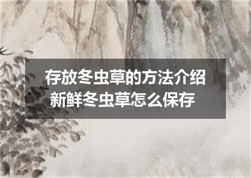 存放冬虫草的方法介绍 新鲜冬虫草怎么保存
