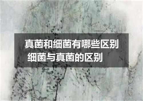 真菌和细菌有哪些区别 细菌与真菌的区别
