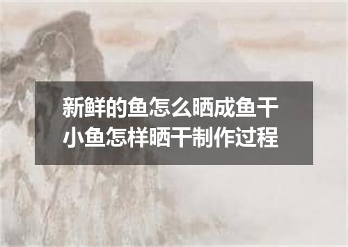 新鲜的鱼怎么晒成鱼干 小鱼怎样晒干制作过程