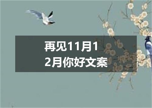 再见11月12月你好文案