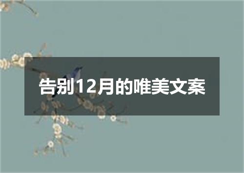 告别12月的唯美文案
