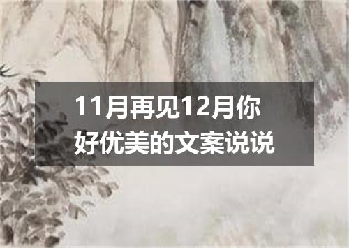 11月再见12月你好优美的文案说说