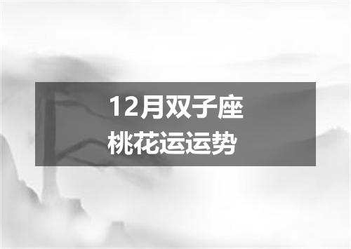 12月双子座桃花运运势