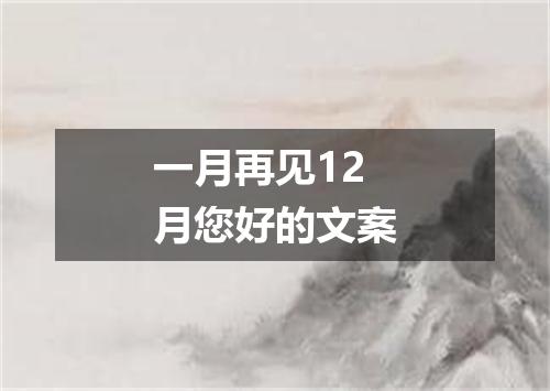 一月再见12月您好的文案