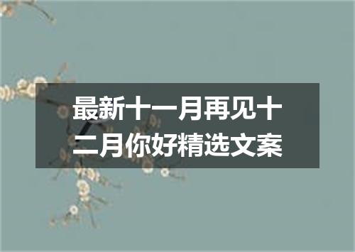 最新十一月再见十二月你好精选文案