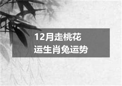 12月走桃花运生肖兔运势
