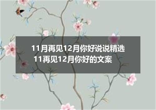 11月再见12月你好说说精选 11再见12月你好的文案