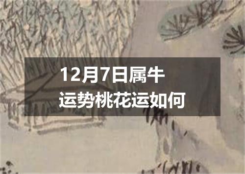 12月7日属牛运势桃花运如何