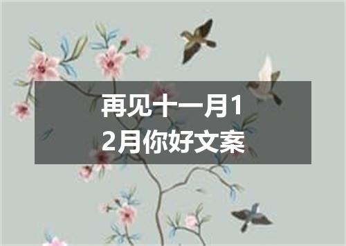 再见十一月12月你好文案