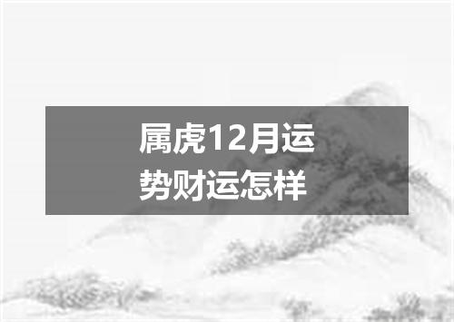 属虎12月运势财运怎样