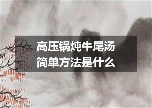 高压锅炖牛尾汤简单方法是什么