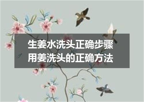 生姜水洗头正确步骤 用姜洗头的正确方法