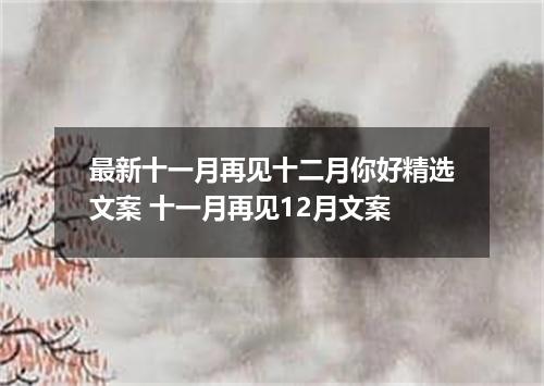 最新十一月再见十二月你好精选文案 十一月再见12月文案