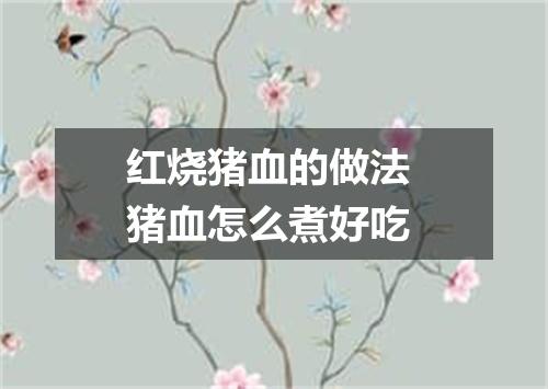 红烧猪血的做法 猪血怎么煮好吃