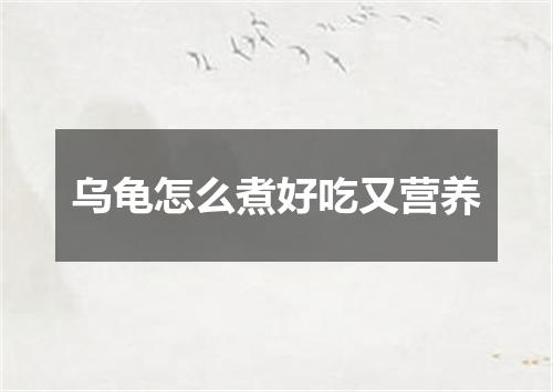 乌龟怎么煮好吃又营养