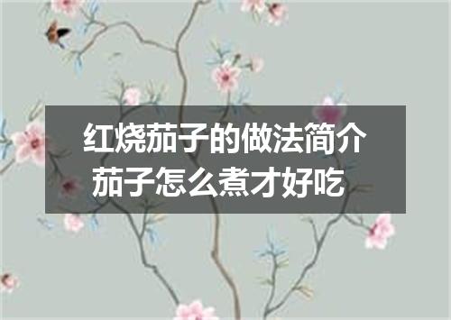 红烧茄子的做法简介 茄子怎么煮才好吃