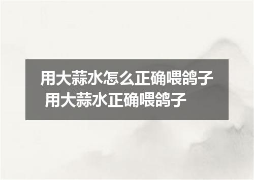 用大蒜水怎么正确喂鸽子 用大蒜水正确喂鸽子