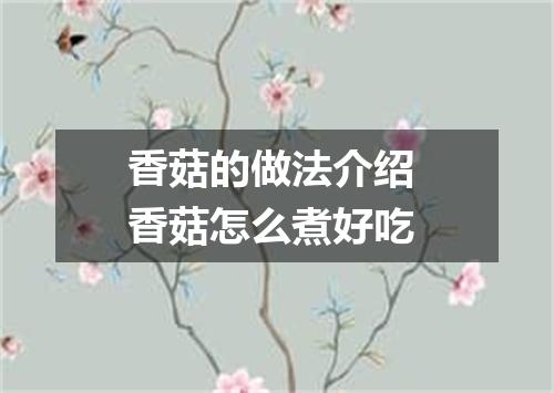 香菇的做法介绍 香菇怎么煮好吃