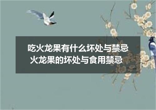 吃火龙果有什么坏处与禁忌 火龙果的坏处与食用禁忌