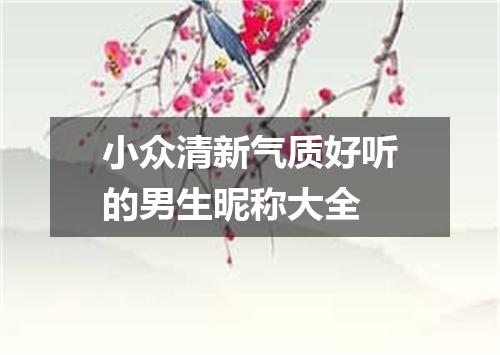 小众清新气质好听的男生昵称大全