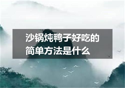 沙锅炖鸭子好吃的简单方法是什么