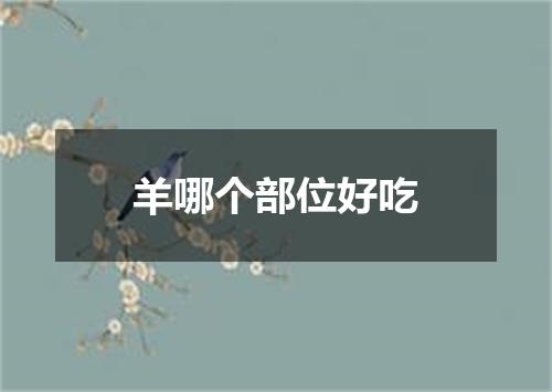 羊哪个部位好吃