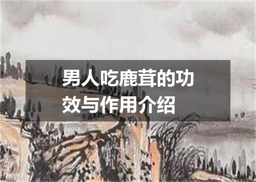 男人吃鹿茸的功效与作用介绍