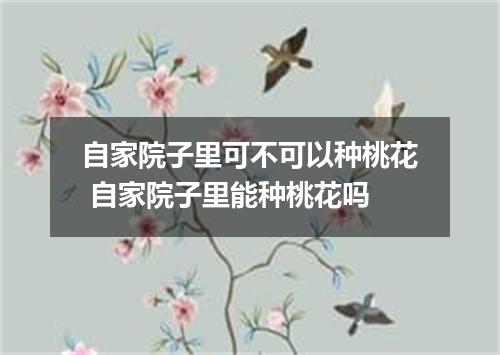 自家院子里可不可以种桃花 自家院子里能种桃花吗