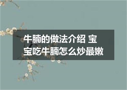 牛腩的做法介绍 宝宝吃牛腩怎么炒最嫩