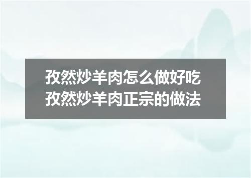 孜然炒羊肉怎么做好吃 孜然炒羊肉正宗的做法
