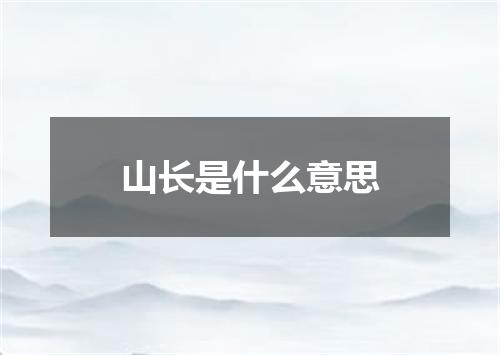 山长是什么意思