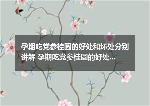 孕期吃党参桂圆的好处和坏处分别讲解 孕期吃党参桂圆的好处和坏处
