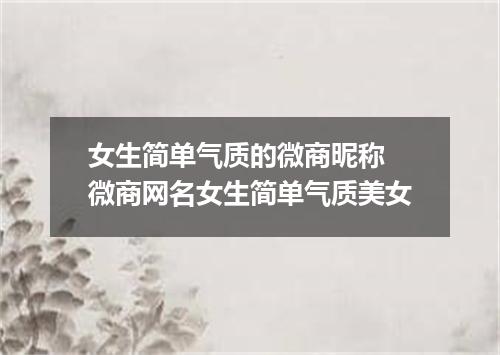 女生简单气质的微商昵称 微商网名女生简单气质美女
