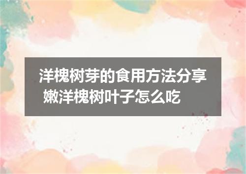 洋槐树芽的食用方法分享 嫩洋槐树叶子怎么吃