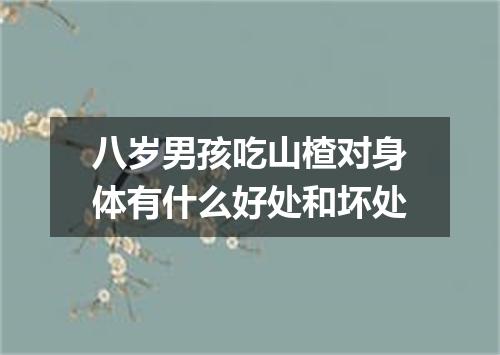 八岁男孩吃山楂对身体有什么好处和坏处
