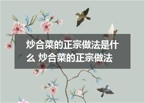 炒合菜的正宗做法是什么 炒合菜的正宗做法