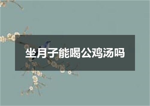 坐月子能喝公鸡汤吗