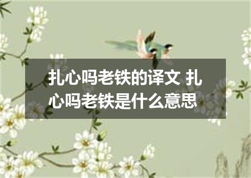 扎心吗老铁的译文 扎心吗老铁是什么意思