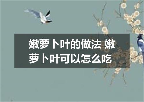 嫩萝卜叶的做法 嫩萝卜叶可以怎么吃
