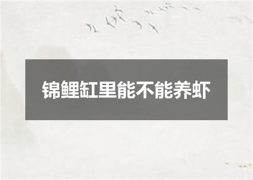 锦鲤缸里能不能养虾