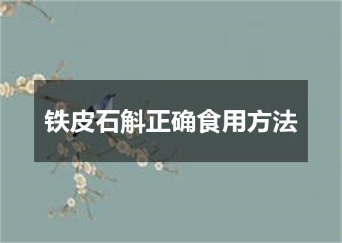 铁皮石斛正确食用方法