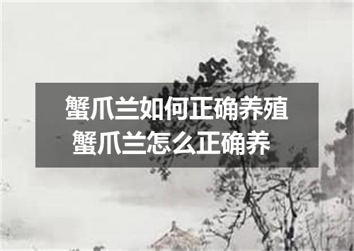 蟹爪兰如何正确养殖 蟹爪兰怎么正确养