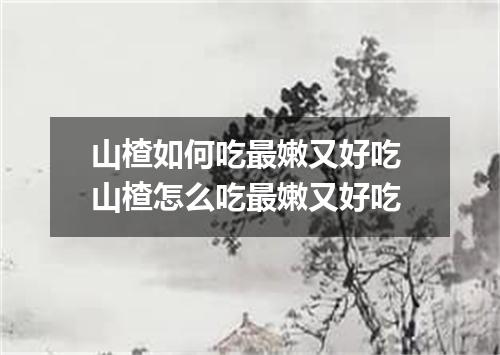 山楂如何吃最嫩又好吃 山楂怎么吃最嫩又好吃