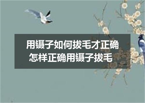 用镊子如何拔毛才正确 怎样正确用镊子拔毛