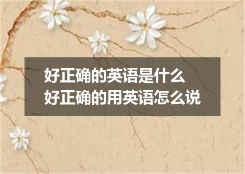 好正确的英语是什么 好正确的用英语怎么说