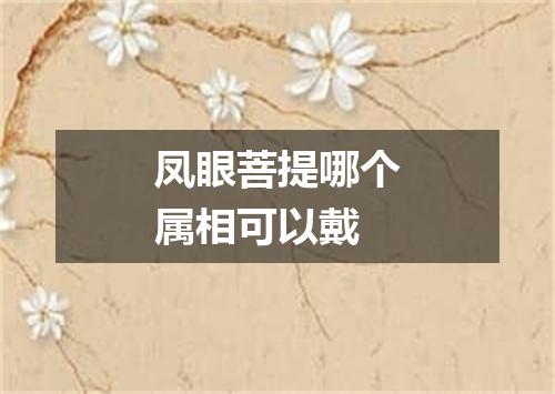 凤眼菩提哪个属相可以戴