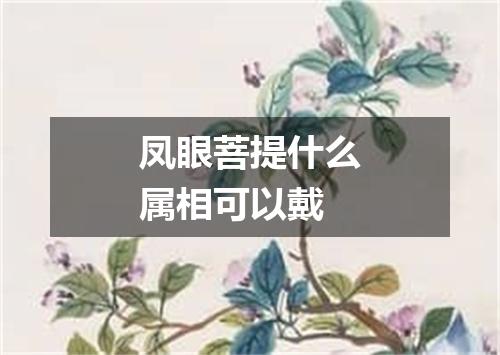 凤眼菩提什么属相可以戴